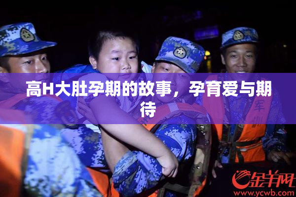 高H大肚孕期的故事，孕育爱与期待