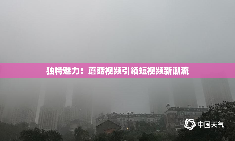 独特魅力！蘑菇视频引领短视频新潮流