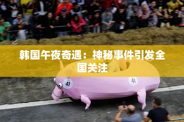 韩国午夜奇遇：神秘事件引发全国关注