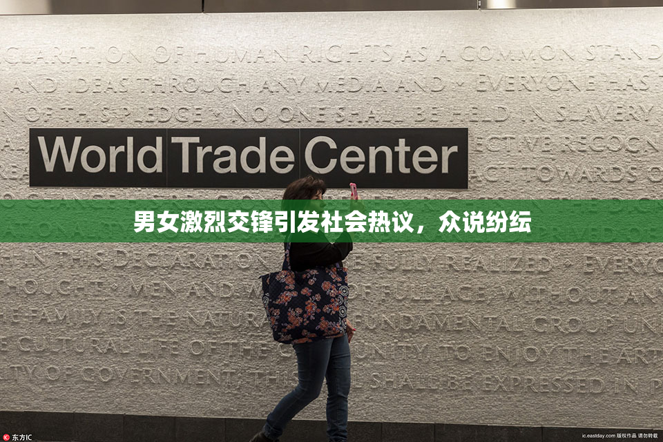 男女激烈交锋引发社会热议，众说纷纭