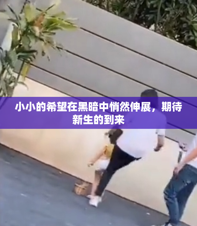 小小的希望在黑暗中悄然伸展，期待新生的到来