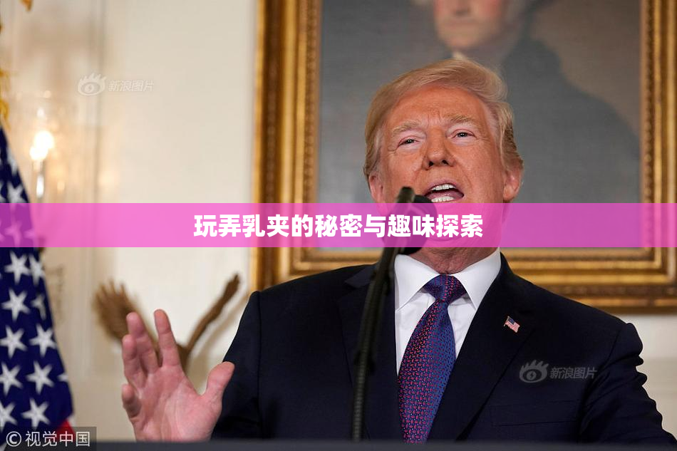 玩弄乳夹的秘密与趣味探索