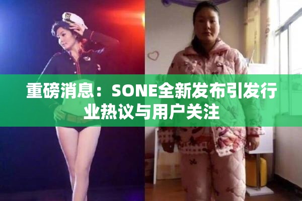 重磅消息：SONE全新发布引发行业热议与用户关注