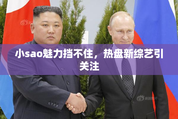 小sao魅力挡不住，热盘新综艺引关注