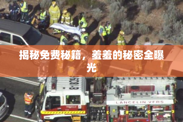揭秘免费秘籍，羞羞的秘密全曝光