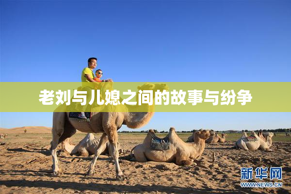 老刘与儿媳之间的故事与纷争