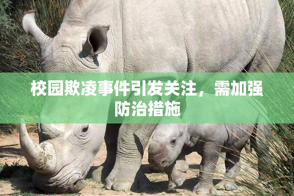 校园欺凌事件引发关注，需加强防治措施