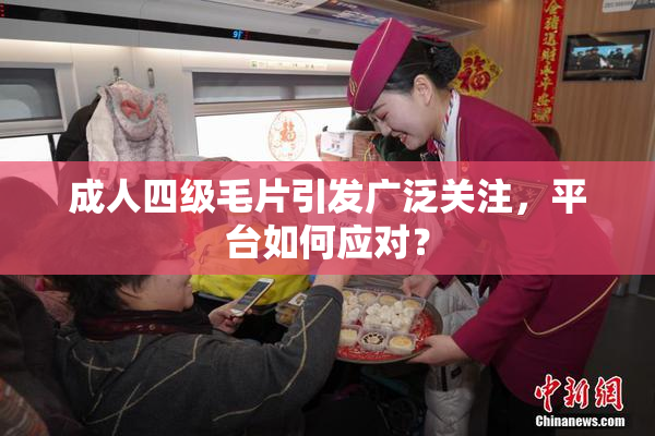 成人四级毛片引发广泛关注，平台如何应对？