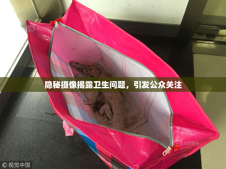 隐秘摄像揭露卫生问题，引发公众关注
