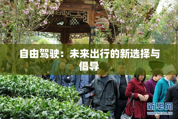自由驾驶：未来出行的新选择与倡导
