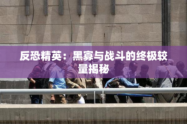 反恐精英：黑寡与战斗的终极较量揭秘