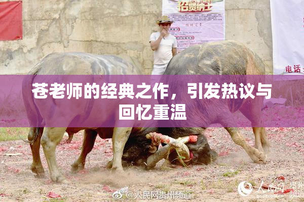 苍老师的经典之作，引发热议与回忆重温