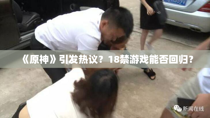 《原神》引发热议？18禁游戏能否回归？