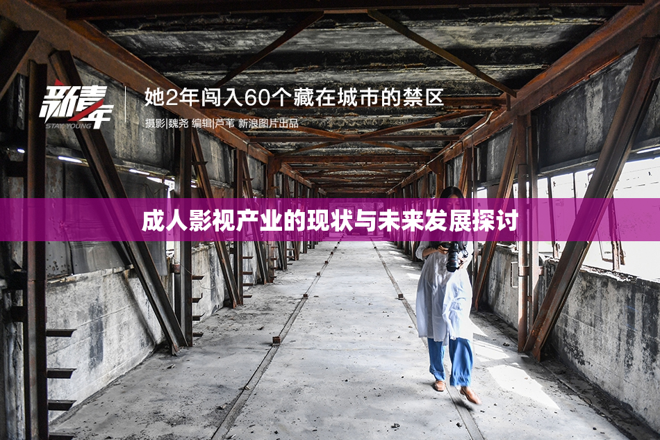 成人影视产业的现状与未来发展探讨