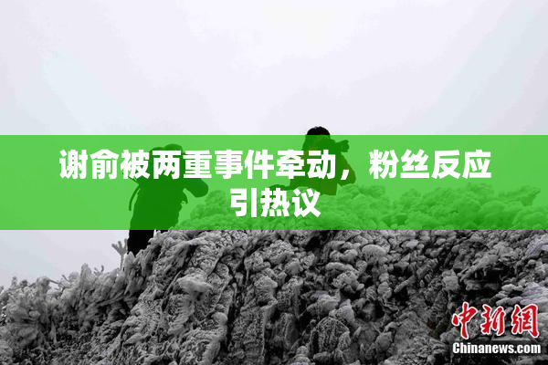 谢俞被两重事件牵动，粉丝反应引热议