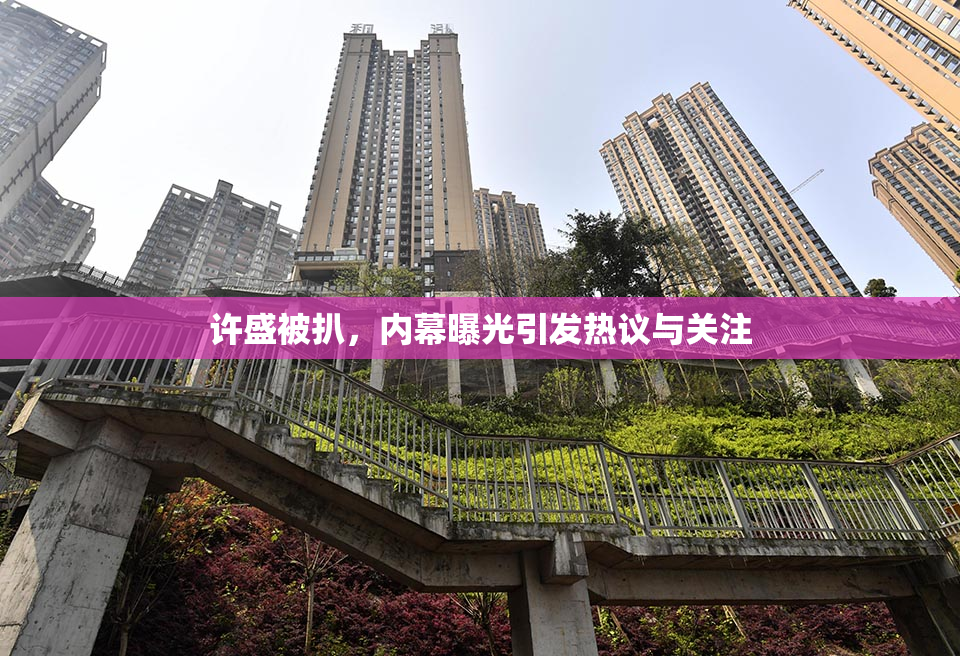 许盛被扒，内幕曝光引发热议与关注