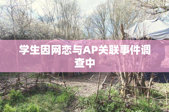 学生因网恋与AP关联事件调查中