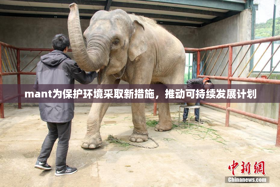 mant为保护环境采取新措施，推动可持续发展计划