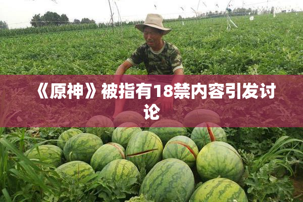 《原神》被指有18禁内容引发讨论