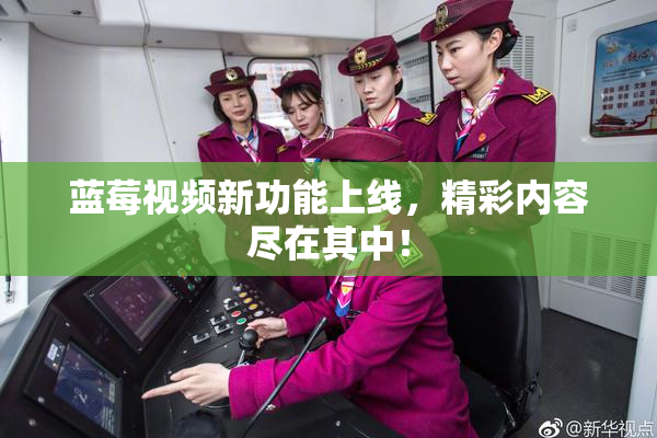 蓝莓视频新功能上线，精彩内容尽在其中！