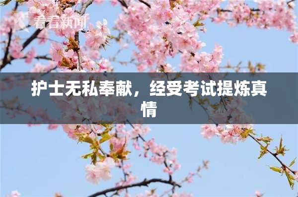 护士无私奉献，经受考试提炼真情