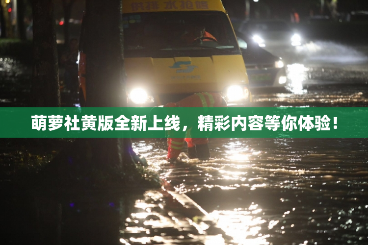 萌萝社黄版全新上线，精彩内容等你体验！