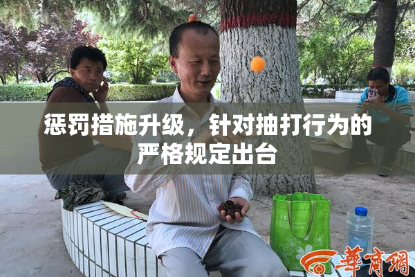 惩罚措施升级，针对抽打行为的严格规定出台