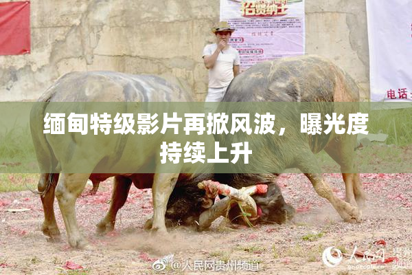 缅甸特级影片再掀风波，曝光度持续上升