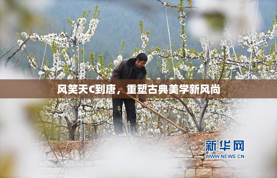 风笑天C到唐，重塑古典美学新风尚