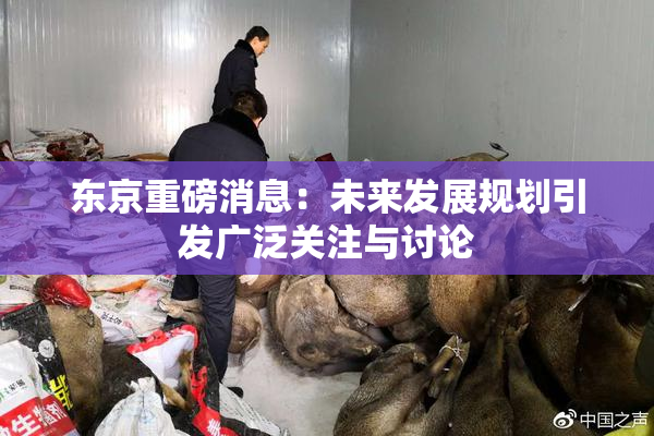 东京重磅消息：未来发展规划引发广泛关注与讨论