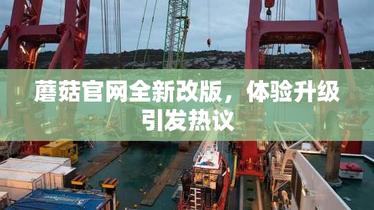 蘑菇官网全新改版，体验升级引发热议