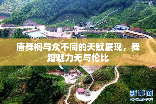 唐舞桐与众不同的天赋展现，舞蹈魅力无与伦比