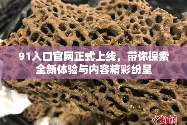 91入口官网正式上线，带你探索全新体验与内容精彩纷呈