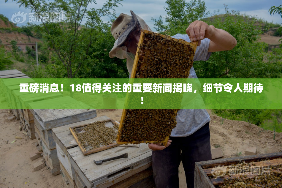 重磅消息！18值得关注的重要新闻揭晓，细节令人期待！