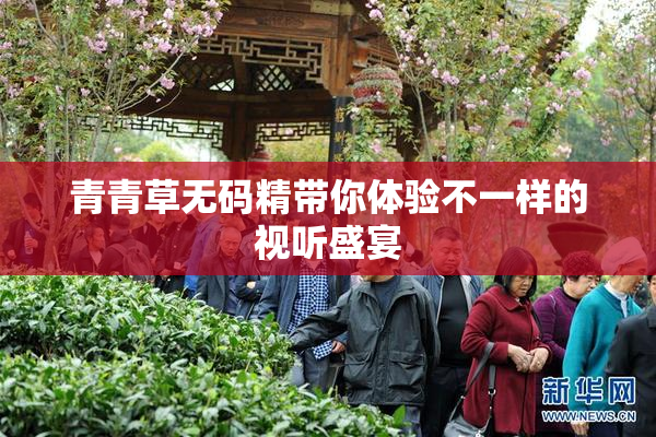 青青草无码精带你体验不一样的视听盛宴