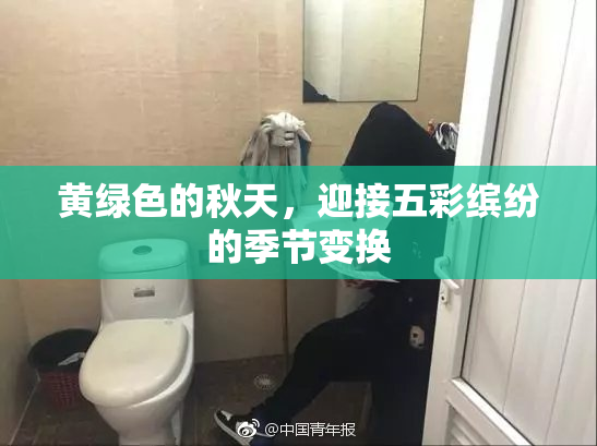 黄绿色的秋天，迎接五彩缤纷的季节变换