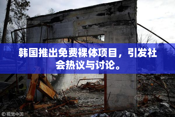 韩国推出免费裸体项目，引发社会热议与讨论。
