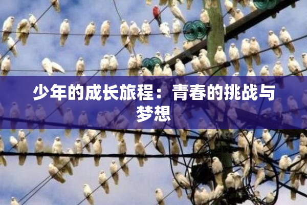 少年的成长旅程：青春的挑战与梦想