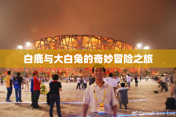白鹿与大白兔的奇妙冒险之旅