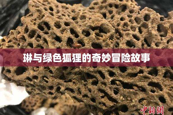琳与绿色狐狸的奇妙冒险故事