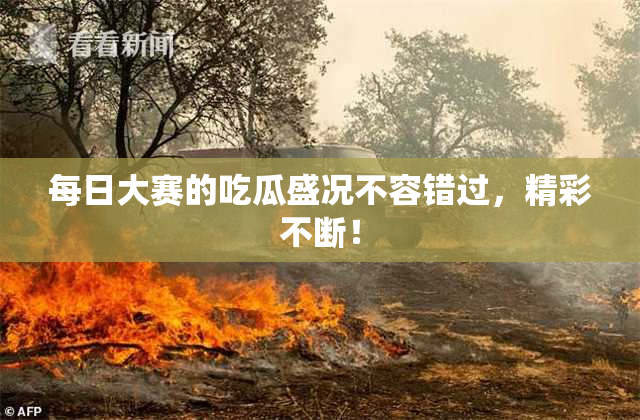 每日大赛的吃瓜盛况不容错过，精彩不断！