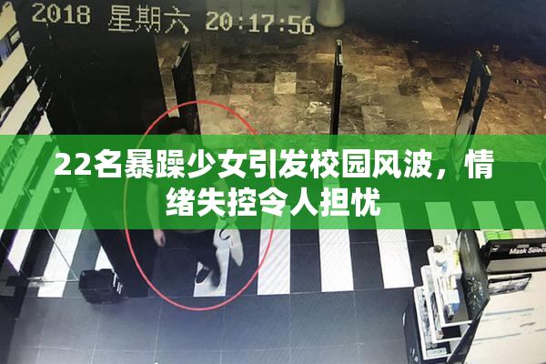 22名暴躁少女引发校园风波，情绪失控令人担忧