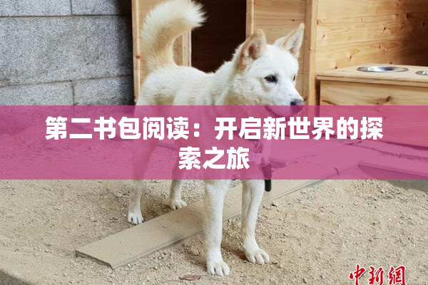 第二书包阅读：开启新世界的探索之旅