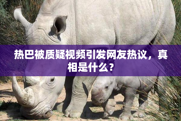 热巴被质疑视频引发网友热议，真相是什么？