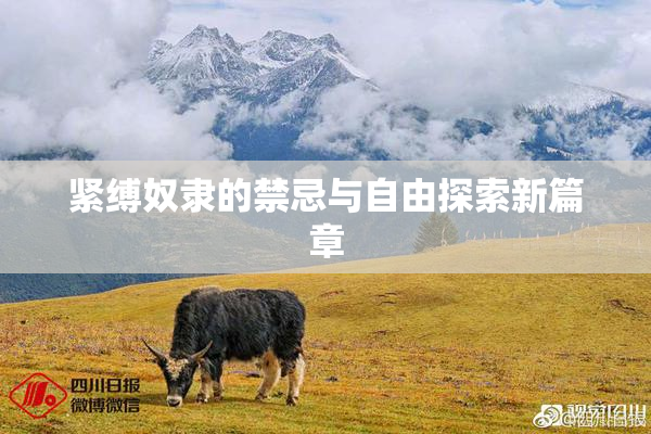 紧缚奴隶的禁忌与自由探索新篇章
