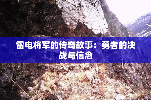 雷电将军的传奇故事：勇者的决战与信念