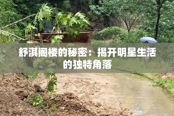 舒淇阁楼的秘密：揭开明星生活的独特角落