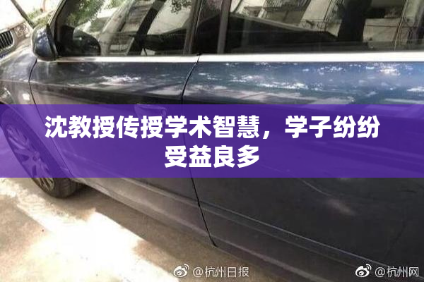 沈教授传授学术智慧，学子纷纷受益良多