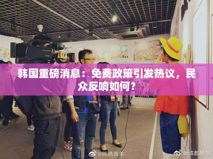 韩国重磅消息：免费政策引发热议，民众反响如何？