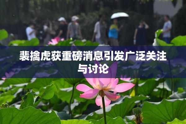 裴擒虎获重磅消息引发广泛关注与讨论
